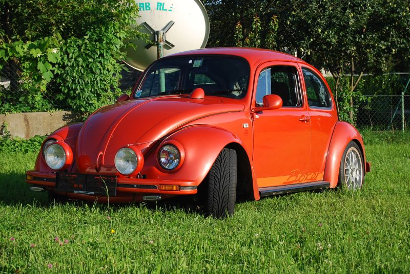 kaefer_orange 01.jpg